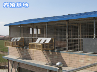 養(yǎng)殖基地護欄網(wǎng)